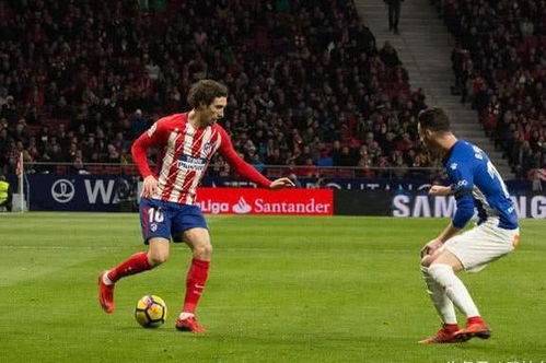 马德里竞技本场坐镇“魔鬼主场”,迎来本赛季欧冠小组赛第 5 轮